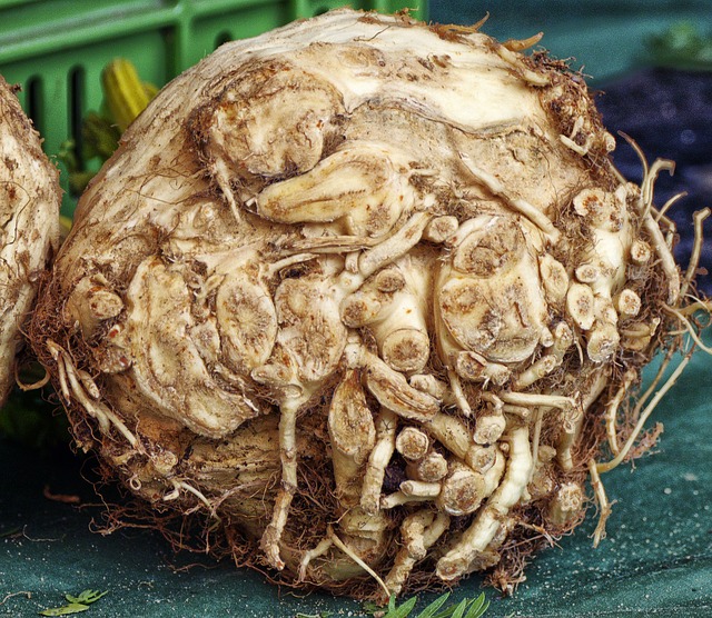 celery root closeup