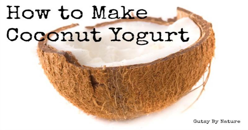 Coconut yogurt online maker