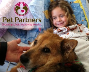 Animal-Assisted Therapy: First Steps! - Gutsy By Nature