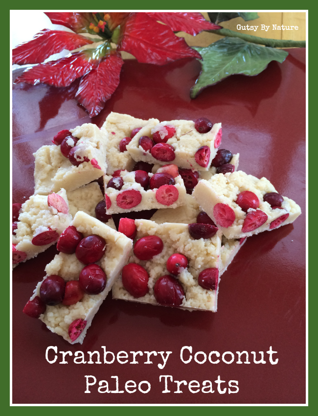 https://gutsybynature.com/wp/wp-content/uploads/2013/12/cranberry-coconut-treats-2.jpg