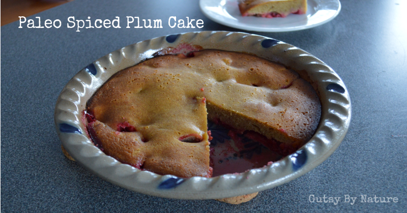 Gluten-Free Chocolate Plum Cake Recipe (Dairy-Free & Nut-Free)