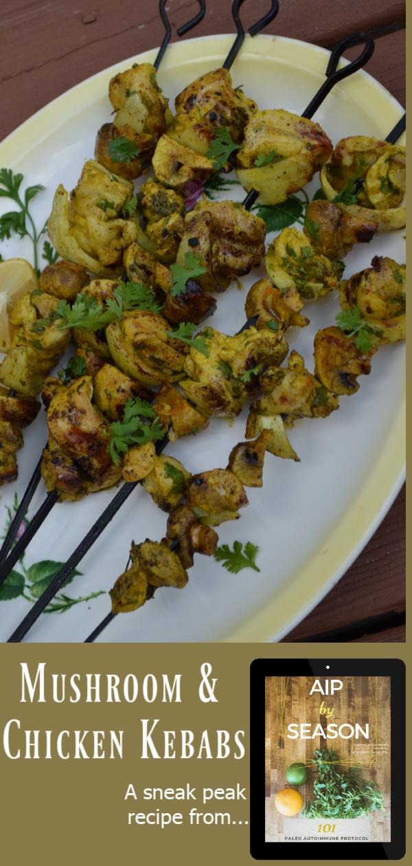mushroom and chicken kebabs from aip by season