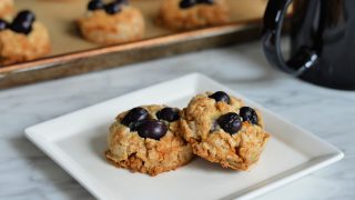 https://gutsybynature.com/wp/wp-content/uploads/2019/06/AIP-Blueberry-Muffin-Bites-320x180.jpg