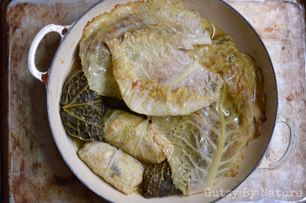 steaming Cabbage Rolls