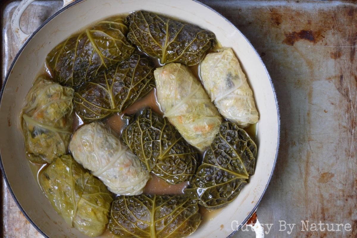 Chicken and Mushroom Cabbage Rolls (AIP, SCD)