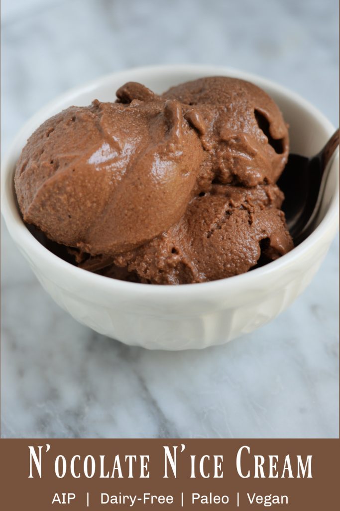 N'ocolate N'ice Cream (AIP, vegan) - Gutsy By Nature